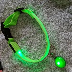 Light-up Dog Collar